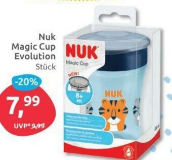 Budni Nuk Magic Cup Evolution Angebot