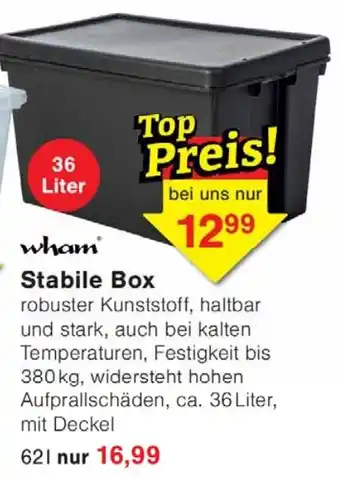 Wiglo Wunderland wham Stabile Box Angebot