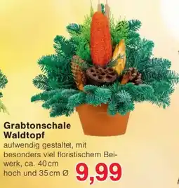 Wiglo Wunderland Grabtonschale Waldtopf Angebot