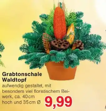 Wiglo Wunderland Grabtonschale Waldtopf Angebot