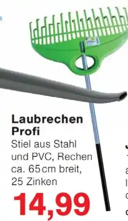 Wiglo Wunderland Güde Laubrechen Profi Angebot