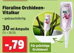 Thomas Philipps Floraline Orchideen- Vitalkur Angebot