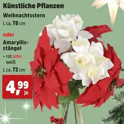 Thomas Philipps Künstliche Pflanzen oder Amaryllis- stängel Angebot