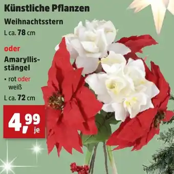 Thomas Philipps Künstliche Pflanzen oder Amaryllis- stängel Angebot
