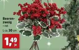 Thomas Philipps Beeren- zweig Angebot