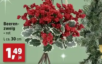Thomas Philipps Beeren- zweig Angebot