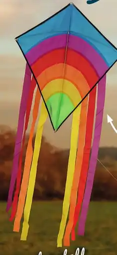 Thomas Philipps Flugdrache ,,Regenbogen" Angebot