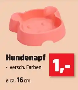 Thomas Philipps Hundenapf Angebot