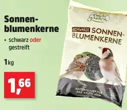 Thomas Philipps Sonnen- blumenkerne Angebot