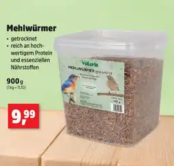 Thomas Philipps Mehlwürmer Angebot
