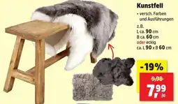 Thomas Philipps Kunstfell Angebot