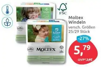 Budni Moltex Windeln Angebot