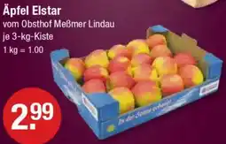 V Markt Äpfel Elstar Angebot