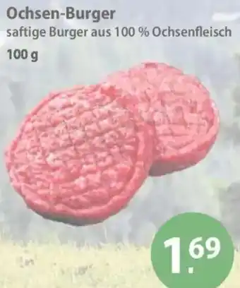 V Markt Ochsen-Burger Angebot