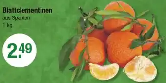 V Markt Blattclementinen Angebot