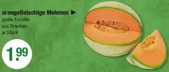 V Markt orangefleischige Melonen Angebot