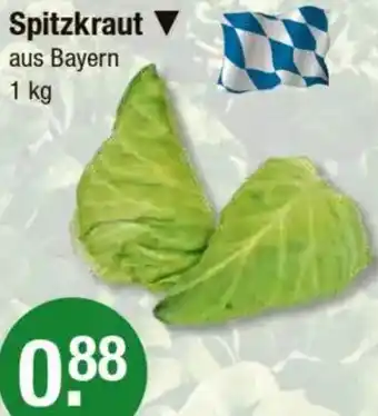 V Markt Spitzkraut Angebot