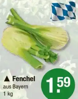 V Markt Fenchel Angebot