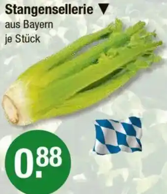V Markt Stangensellerie Angebot