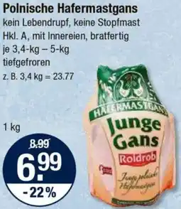 V Markt Polnische Hafermastgans Angebot