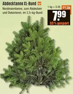 V Baumarkt Abdecktanne XL-Bund Angebot