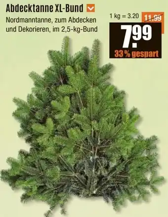 V Baumarkt Abdecktanne XL-Bund Angebot