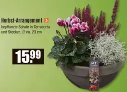 V Baumarkt Herbst-Arrangement Angebot