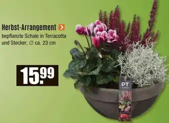 V Baumarkt Herbst-Arrangement Angebot