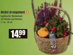 V Baumarkt Herbst-Arrangement Angebot