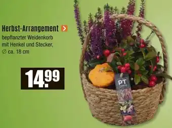 V Baumarkt Herbst-Arrangement Angebot