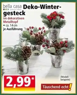 Norma Deko-Wintergesteck Angebot