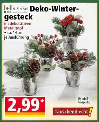 Norma Deko-Wintergesteck Angebot
