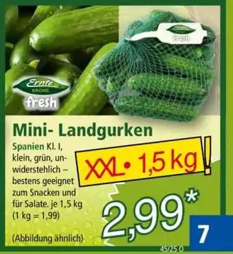 Norma Mini-Landgurken Angebot