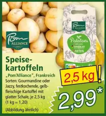 Norma Speisekartoffeln Angebot