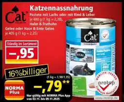 Norma Katzennassnahrung Angebot