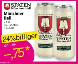 Norma Münchner Hell Angebot