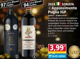 Norma SORAYA Appassimento Puglia IGP Angebot