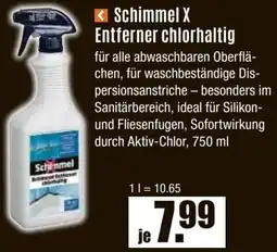V Baumarkt Schimmel X Entferner chlorhaltig Angebot