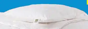 Lidl Schurwoll-Kissen Angebot