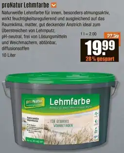 V Baumarkt proNatur Lehmfarbe Angebot