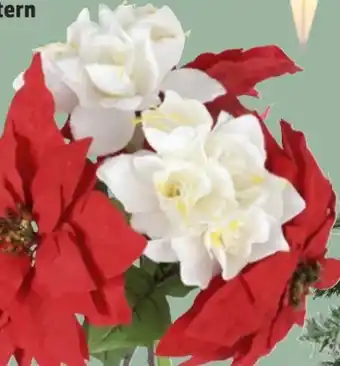 Thomas Philipps Künstliche Zimmerpflanzen Angebot