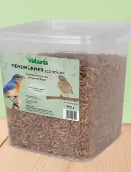 Thomas Philipps Volaris Mehlwürmer Angebot