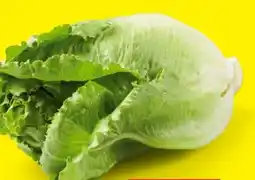 Lidl Romana-Salatherzen Angebot