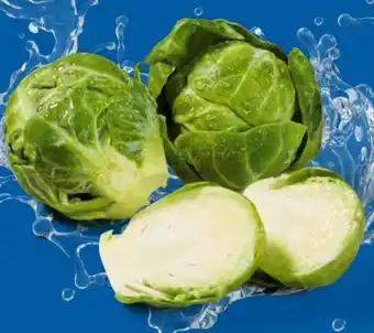 Lidl Rosenkohl XXL Angebot