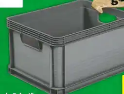 Hagebau Keeeper Systembox/-korb Robert Angebot