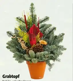 Hagebau Grabtopf Angebot