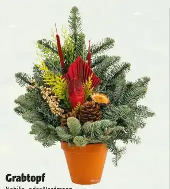 Hagebau Grabtopf Angebot