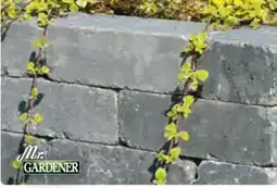Hagebau Mr. Gardener Antik-Mauerstein Maxi Angebot