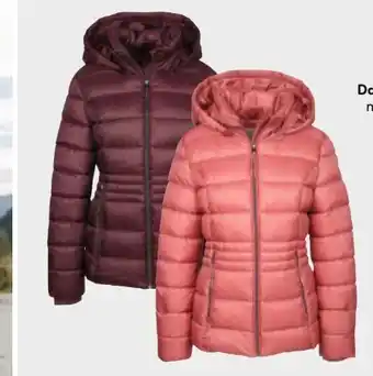 AWG Mode Sure Damen-Steppjacke Angebot