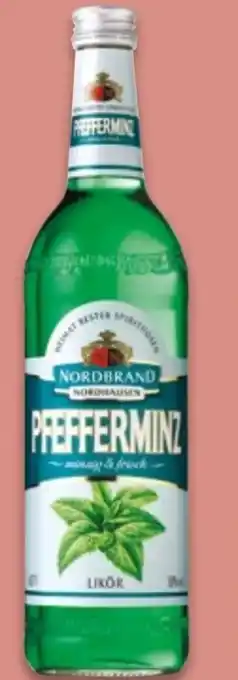 NETTO Nordbrand Nordhausen Pfefferminzlikör Angebot
